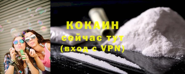 сатива Гусь-Хрустальный