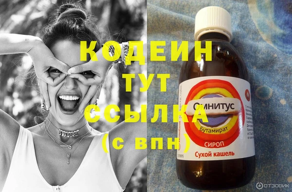 сатива Гусь-Хрустальный