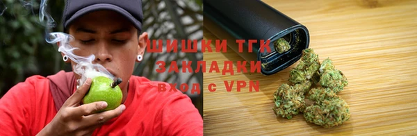спиды Гусев
