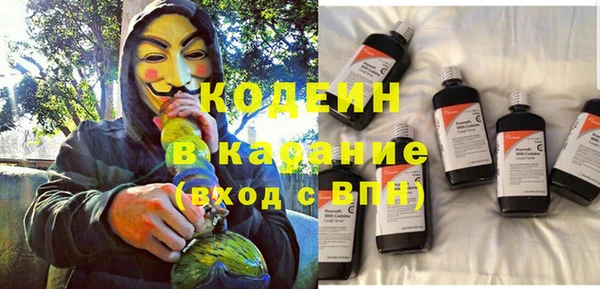 сатива Гусь-Хрустальный