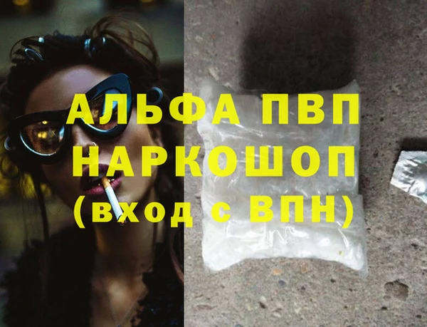 сатива Гусь-Хрустальный