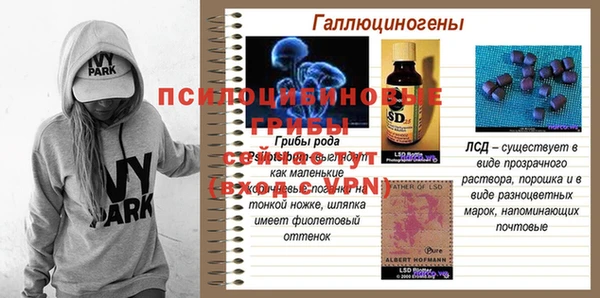 спиды Гусев