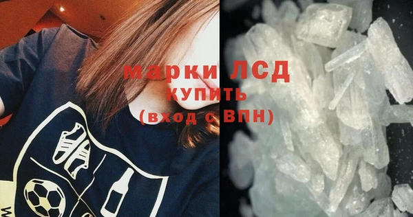 спиды Гусев