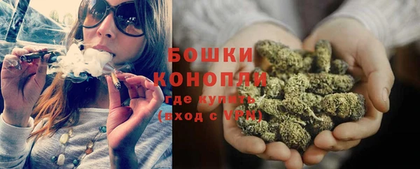 спиды Гусев