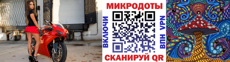 Купить где  Ростов  Псилоцибиновые грибы MAGIC MUSHROOMS 